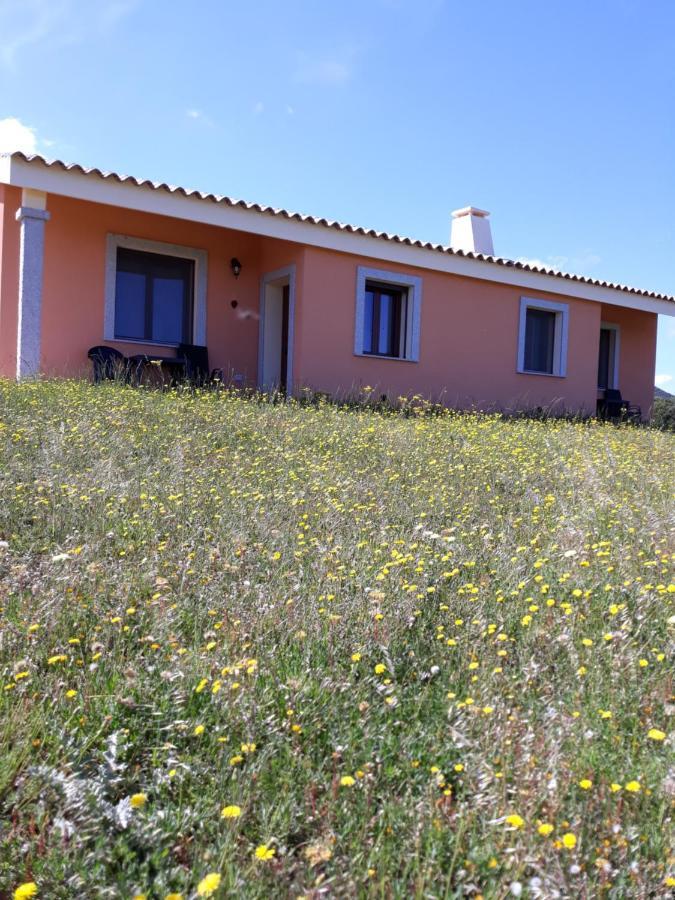 Agriturismo Gli Olivastri, Appartamento La Rosa Dei Venti Con Piscina E Solarium , Vista Mare ,Climatizzatore ,Wifi Aglientu Exterior photo