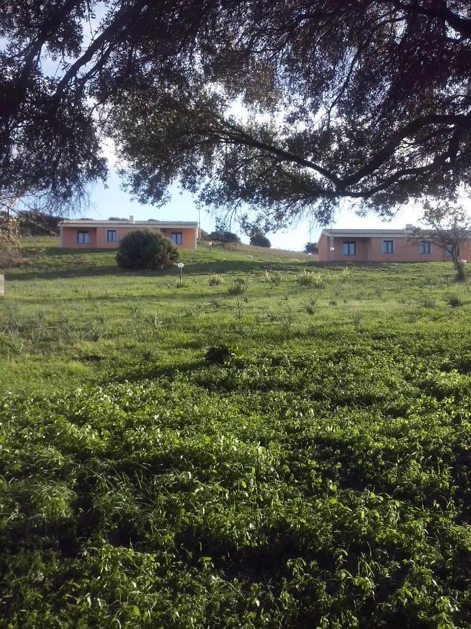 Agriturismo Gli Olivastri, Appartamento La Rosa Dei Venti Con Piscina E Solarium , Vista Mare ,Climatizzatore ,Wifi Aglientu Exterior photo