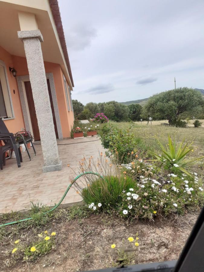 Agriturismo Gli Olivastri, Appartamento La Rosa Dei Venti Con Piscina E Solarium , Vista Mare ,Climatizzatore ,Wifi Aglientu Exterior photo