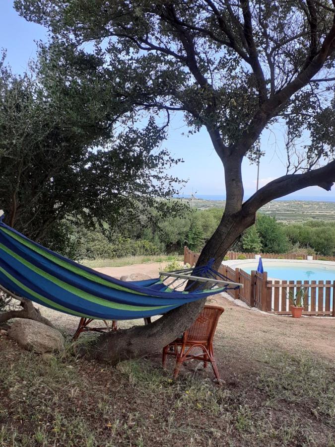Agriturismo Gli Olivastri, Appartamento La Rosa Dei Venti Con Piscina E Solarium , Vista Mare ,Climatizzatore ,Wifi Aglientu Exterior photo